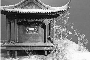 国美毕业展挖人战：这个专业大二就月入过万元