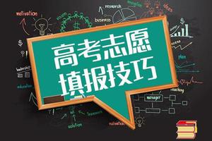2018年高考志愿填报：同分/同位次考生去向查询