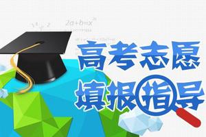 高考报志愿有底线 除了兴趣还是兴趣