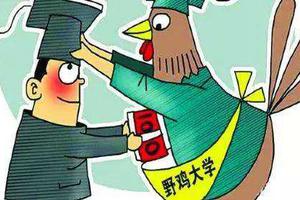 “山寨网站”抄袭多所大学官网被关停