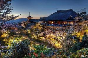 我国赴日韩留学生人数分别增加了8.9%和5.6%