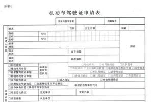 华人回中国持国际驾照开车被罚 须换领中国驾照