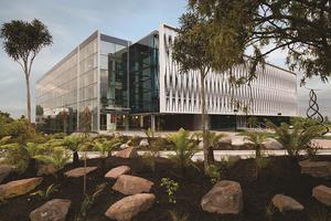 到新西兰不会游泳？该大学首设留学生教学项目