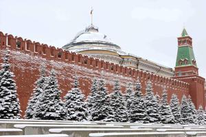 毕业论文研究中国春节 俄对外“喉舌”有点辣