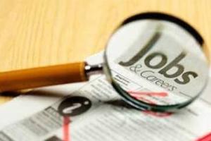 欧时：求职者看过来 法国这些行业需年轻人较多