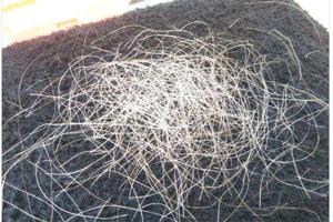 日本“拔白发”服务每半小时240元 网友炸开了锅