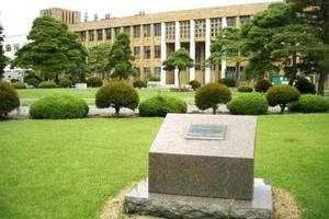 日本东北大学研发“药片式”内服体温计