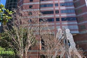 美国华人当枪手代考托福被捕 最高恐获刑17年