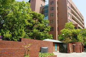 日本大阪大学宣布已故副教授多篇论文造假