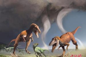 美国研究：儿童越喜爱恐龙 智力水平或越高