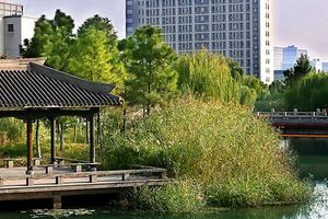 江南大学2019年自主招生简章