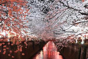 日本发放保育金助力“十连休” 华人华侨亦可享受