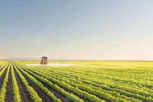 灭蝇灯排行_中国灭蝇灯市场分析及竞争策略研究报告