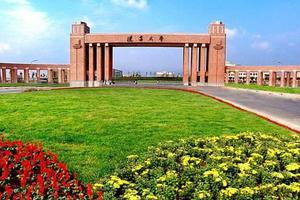 辽宁大学2019年各地高考录取分数线