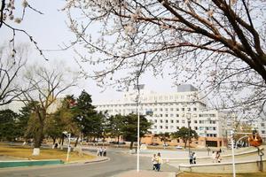 东北师范大学2021年高校专项计划招生简章