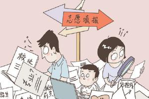 新高考背景下怎么报志愿最靠谱