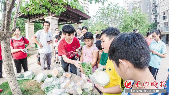 前日，长沙理工大学“菜菜农业”实践团队成员在长沙一小区开展农产品义卖活动。学校供图