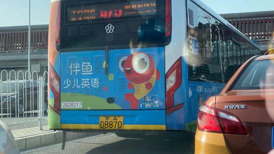 图/马微冰拍摄