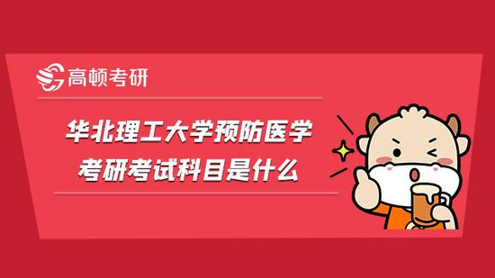 高顿考研