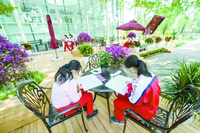 午休时间，学生们在学校小花园的室外空旷区域，抓紧时间复习。