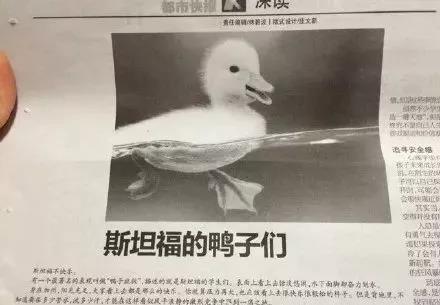 图片来源于网络