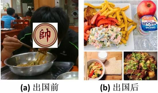 图3 不同阶段的饮食结构变化