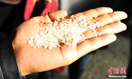 资料图。中新社发 于海洋 摄