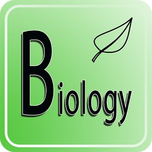 干货:究竟a-level生物学学习什么内容