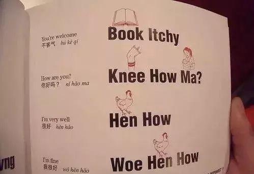 手臂=show Bee