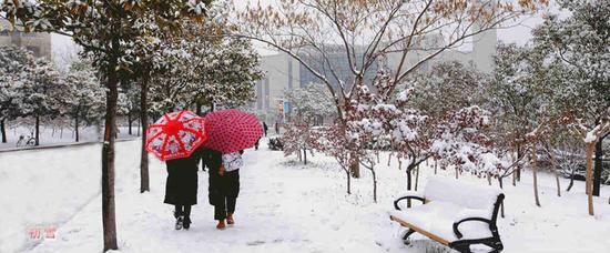 1月4日，江苏徐州，中国矿业大学图书馆前，项志国摄。