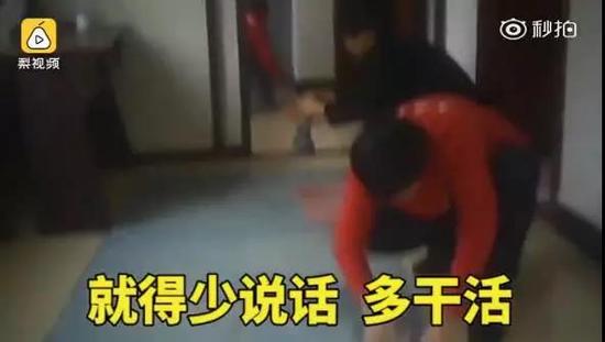 截图来源:梨视频