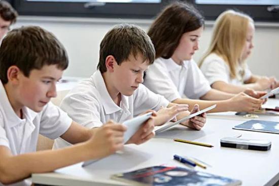 公立学校还是国际学校 终极问题在于语言学习