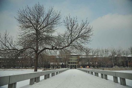 天津大学校园雪景 张宇 陈铮杰摄