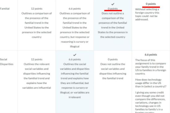 美国学生作业获零分。（图片来源：英国《每日邮报》）