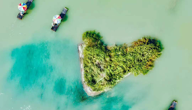 爱情可以治愈生活