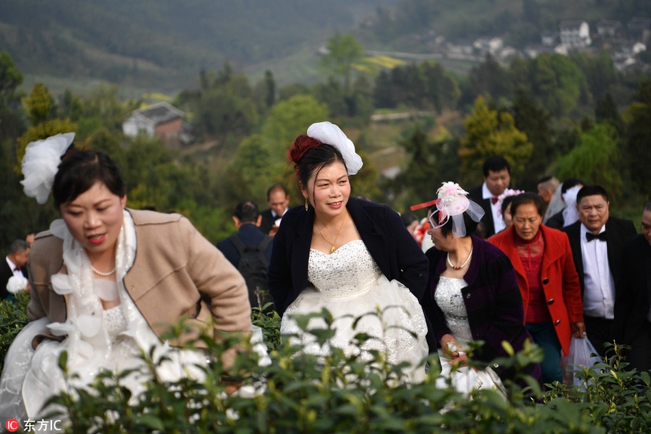 茶山婚纱照_茶山竹海