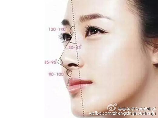 怎么才能变成高鼻梁 2Pss-haysvix8089823.jpg