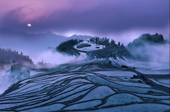 图:@卫平
