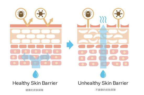 图源：strivectin