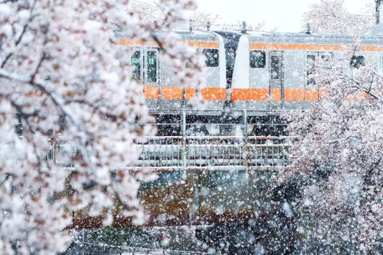 北海道成无人雪国 2021年你还在继续想念日本吗？