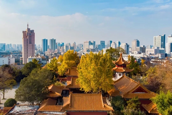 @图虫创意