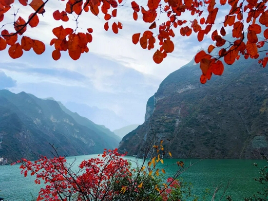 中国最美十大秋色之一 d5bf-a2757b34766d535eb32d7f807edcb757.jpg