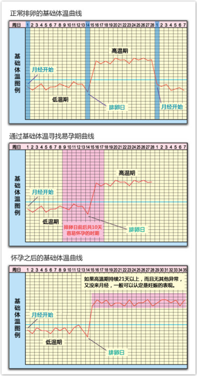 科学备孕,从一支心云蓝牙电子体温计开始!|备孕