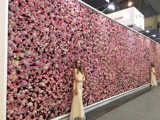 3万3千朵玫瑰的一面墙这家公司真壕