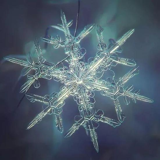 以及各种各样的多边形雪花