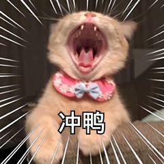这几只敲好用的眉笔你一定要拥有