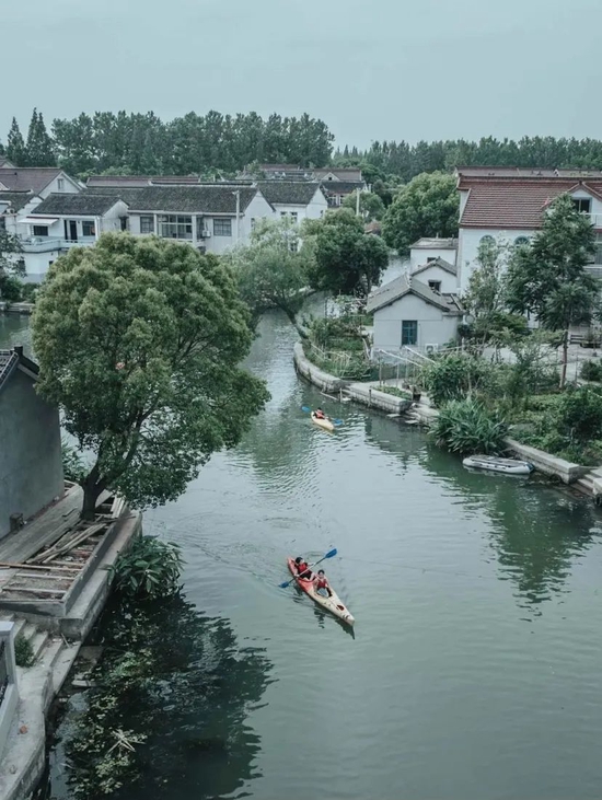 上海绝美水上村落火了 网友：这正是我要的养老之地