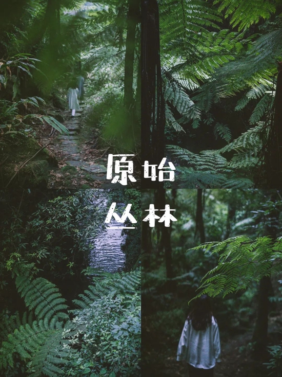 乐山好吃牛逼症 去1000次都不过瘾