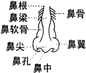 位置图