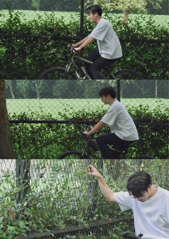 @晨星